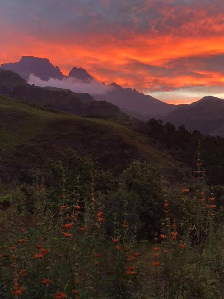 Вилла Misty Peaks Cloudlands Bergview Экстерьер фото
